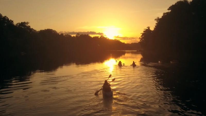 Suwannee River Wilderness State Trail