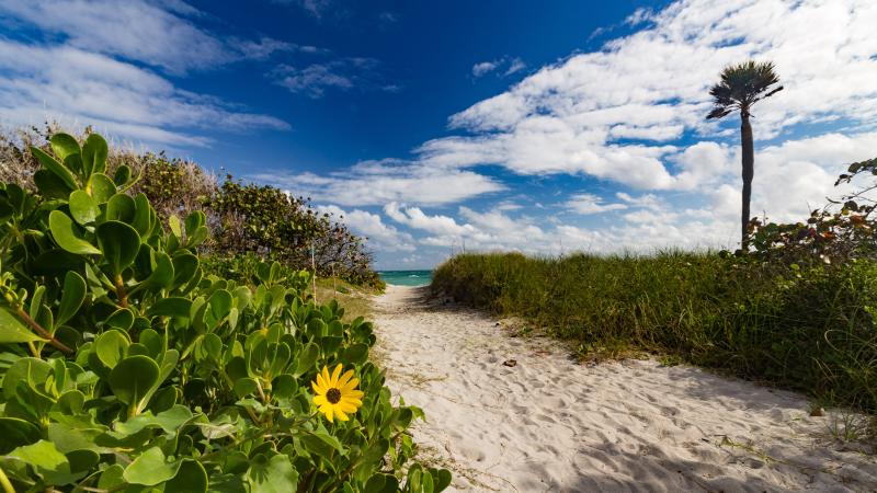 Dr. Von D. Mizell-Eula Johnson State Park