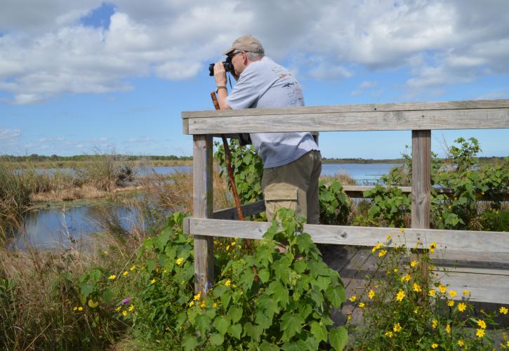 Savannas Preserve Bird Watching