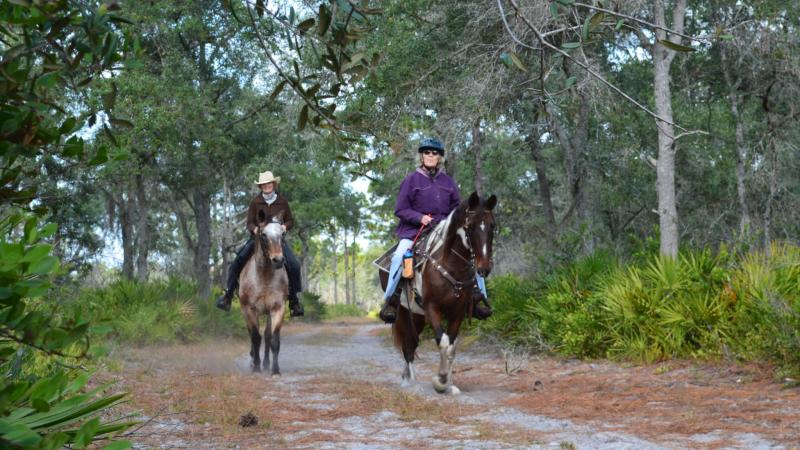 Horseback Riding at Dunns Creek