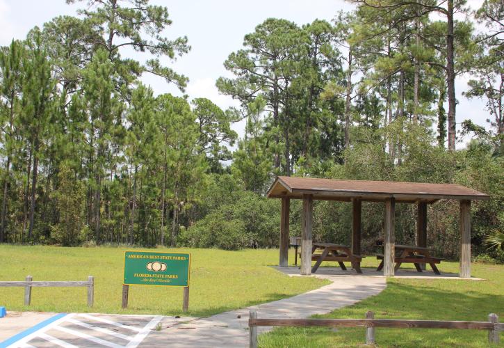 Picnic Area in Cedar Key Scrub