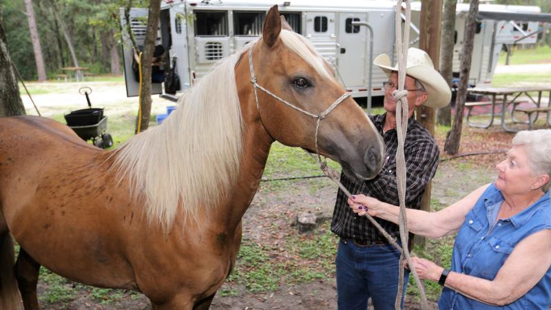 A brown horse with two people at a equestrian site at Cross Florida Greenway 