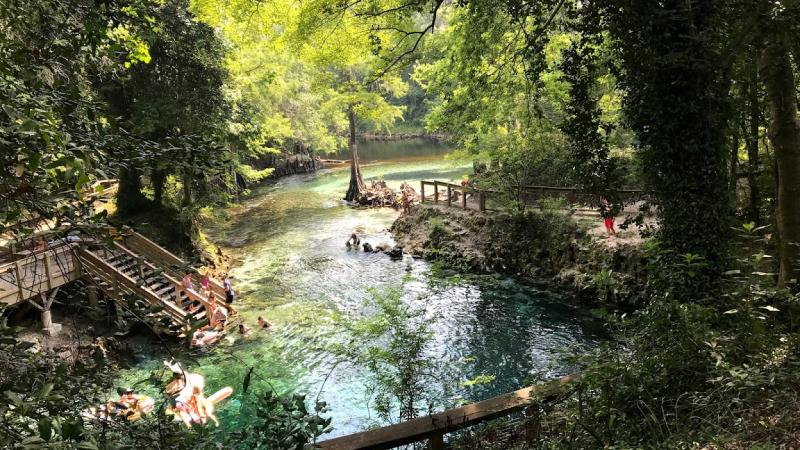 Overlook view of Madison Blue Spring with people swimming