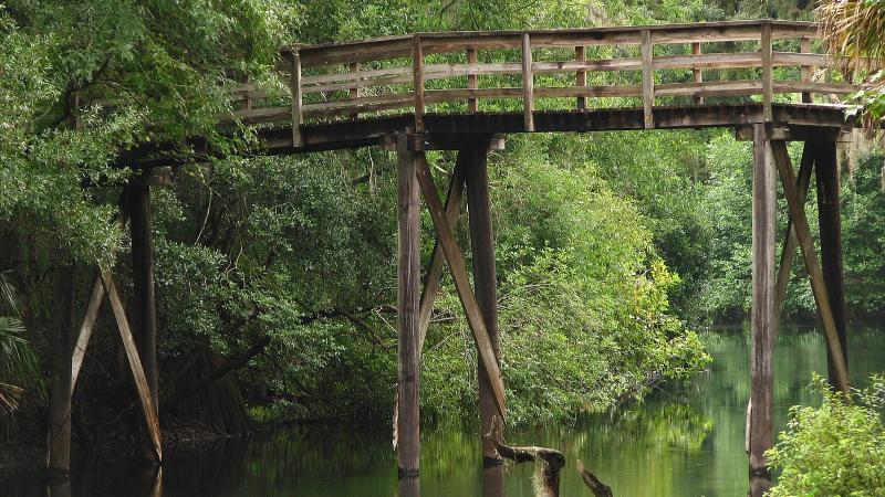 Suspension Bridge at Hillsborough River State Park