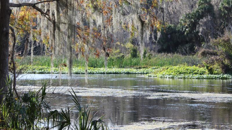 Lower Wekiva River Preserve State Park